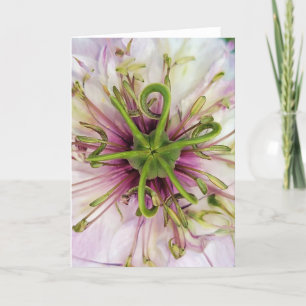 Cartão 5"x7" Folded Card Love-In-A-Mist