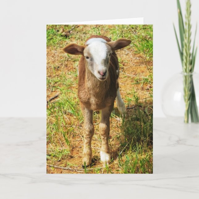 Cartão 5"x7" Folded Card || Scout Lambie (Frente)