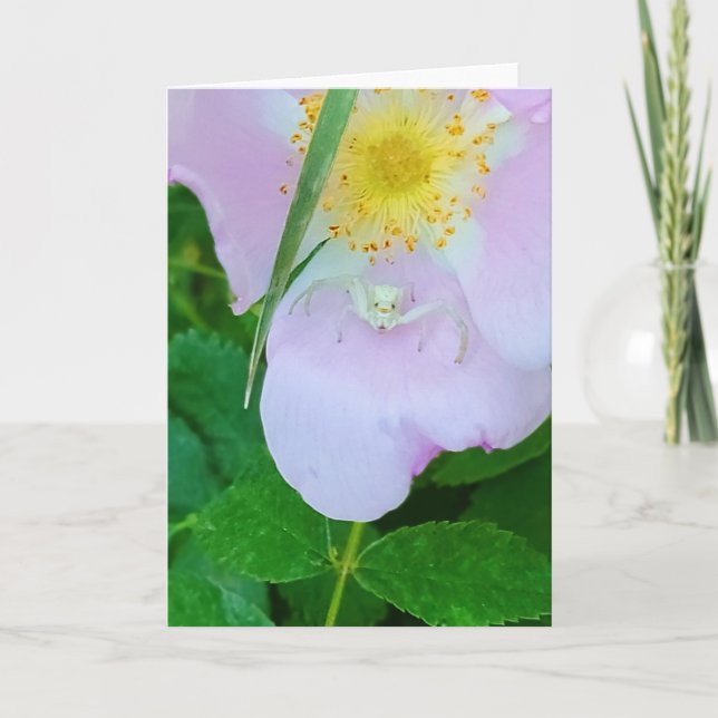 Cartão 5"x7" Folded Card || Smiling Spidey (Frente)