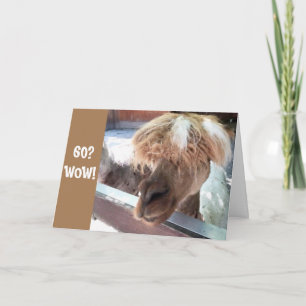 CARTÃO **60º ANIVERSÁRIO** TENHA DURO TEMPO ACREDITANDO!