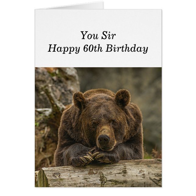 Cartão 60º sobre a colina - Urso Grizzly Sério (Frente)