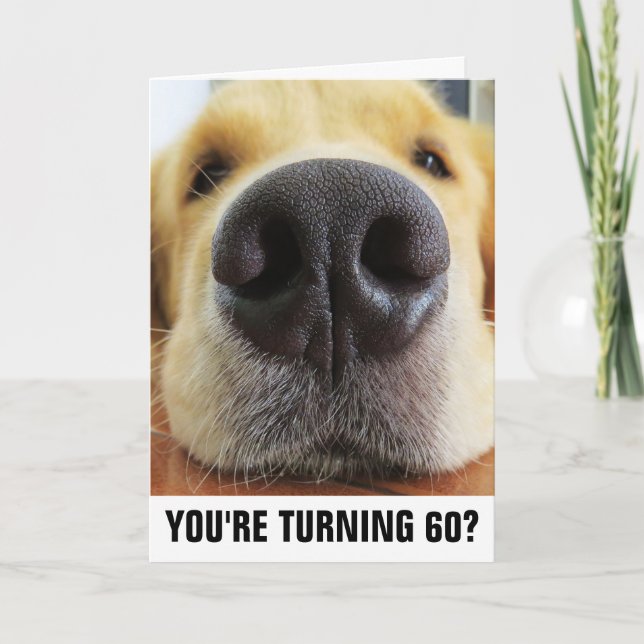 CARTÃO 60TH BIRTHDAY FUNNY DOG GREETING CARDS (Frente)