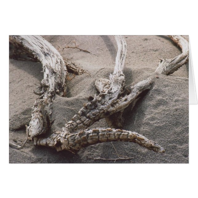 Cartão 61. Rack de madeira Antler (Frente Horizontal)