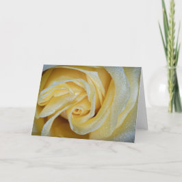 Cartão 6557-Rosa Amarela com Vista