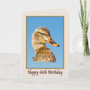 Cartão 66th Birthday Card with Mallard Duck