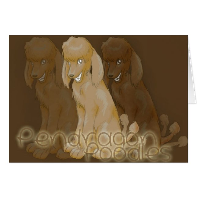 Cartão 6 Aero (Frente Horizontal)