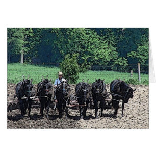 Cartão 6 Belos Cavalos de Rascunho no Trabalho, Ocasião