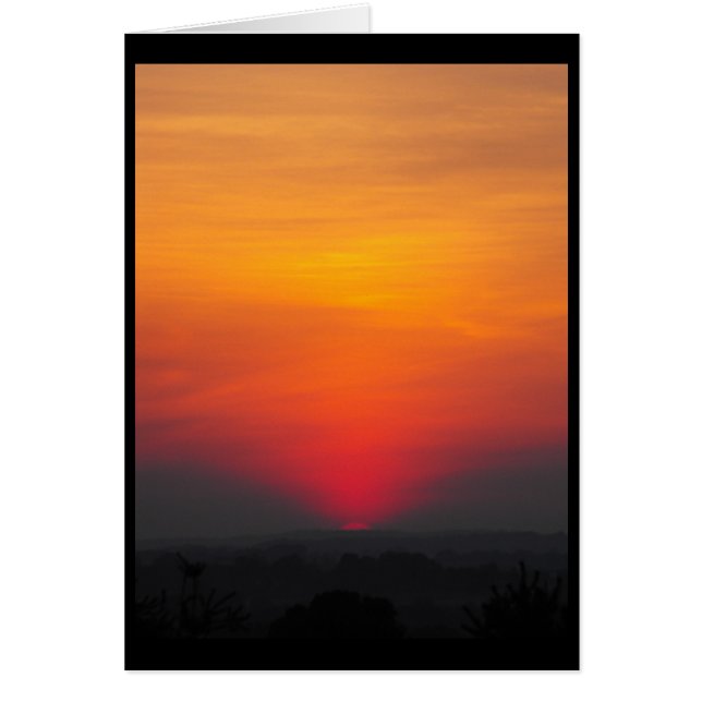 Cartão ~ 6 do verão (Frente)