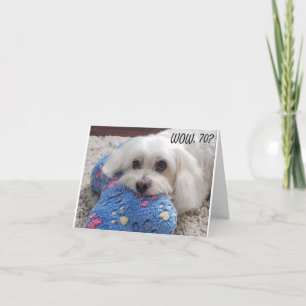 CARTÃO *70 BIRTHDAY* HA HA HA (ENGRAÇADO NO CACHORRO)