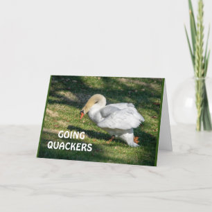 CARTÃO *70* QUACKERS DE ANIVERSÁRIO DE ANIVERSÁRIO - NÃO 