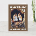 Cartão ***70th BIRTHDAY**** WE THINK IT IS NUTS!!!!!!<br><div class="desc">THESE TWO SQUIRRELS THINK THAT YOU TURNING ***70**** IS NUTS AND JUST CANNOT BE TRUE!
DON'T FORGET YOU CAN CHANGE THE "AGE" AND THE "WORDS" TO ALL MY CARDS HERE AT THIS STORE AND ALL 9 OF MY STORES HERE AT ZAZZLE AND THANK YOU FOR STOPPING BY!!!!!</div>
