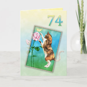 Cartão 74.º Aniversário com um gato brincalhão