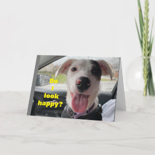 CARTÃO **75º ANIVERSÁRIO*** FELIZ QUE SEJA "VOCÊ" NÃO EU!