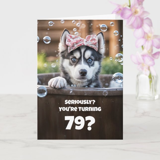 Cartão 79th Cute and Fun Happy Birthday Husky Dog (Orquídea)