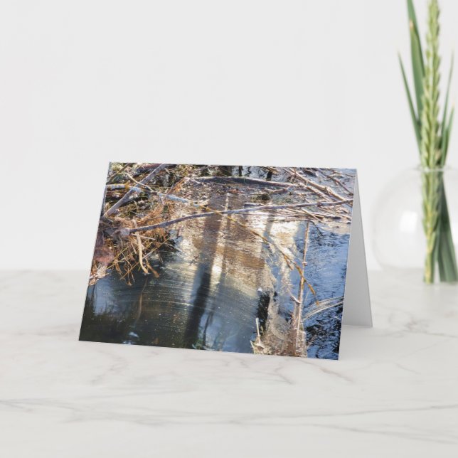Cartão 7"x5" Folded Card || Pond Pollen Scum (Frente)