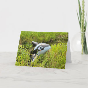 Cartão 7"x5" Folded Card    Sage Creek Orca