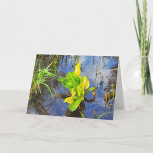 Cartão 7"x5" Folded Card    Skunk Cabbage