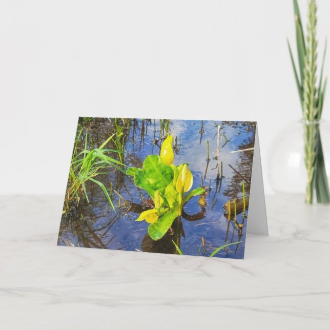Cartão 7"x5" Folded Card || Skunk Cabbage (Frente)