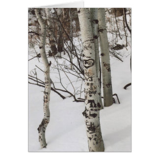 Cartão 87. Graffit e Pristine Snow, Colorado