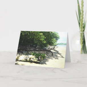 Cartão 8x10 encalhado 2