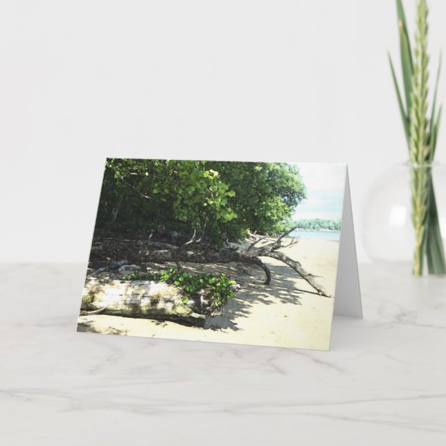 Cartão 8x10 encalhado 2 (Frente)