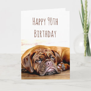 Cartão 90 Aniversário Triste Cachorro Fica Humor Pawsiti