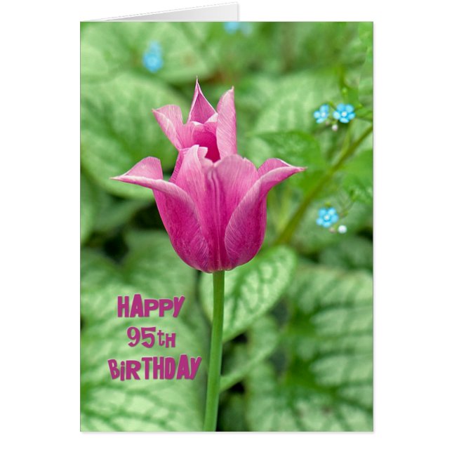 Cartão 95º Aniversário Tulip (Frente)