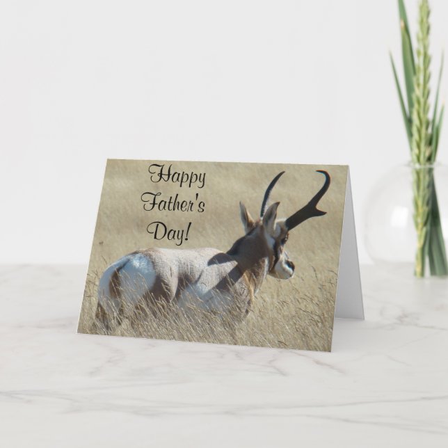 Cartão A14 Pronghorn Antelope Sunshine Buck (Frente)