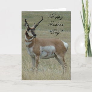 Cartão A37 Pronghorn Antelope Big Buck Crooked Horns