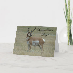 Cartão A37 Pronghorn Antelope Big Buck Crooked Horns