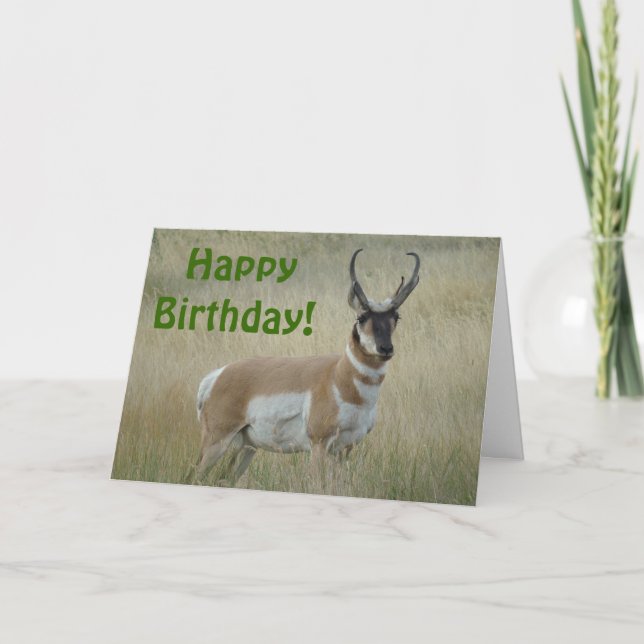 Cartão A8 Pronghorn Antelope Big Buck (Frente)