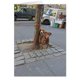 Cartão A aguardar ... 5x7