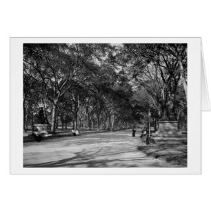 Cartão A alameda no Central Park na Nova Iorque