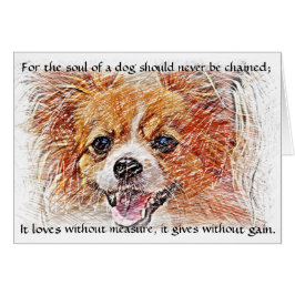 Cartão A alma de um cão - Chihuahua