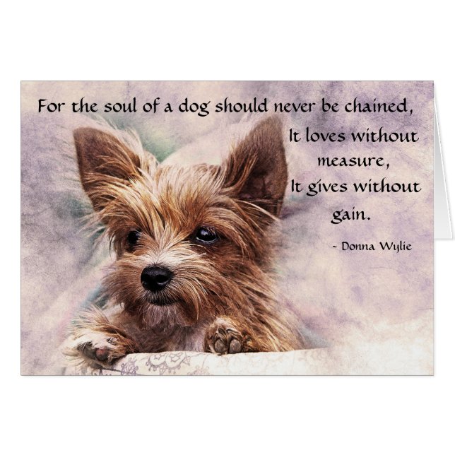 Cartão A alma de um cão - Yorkie (Frente Horizontal)