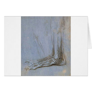 Cartão A anatomia de um pé dos ursos