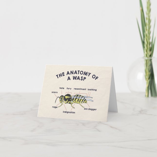 Cartão A Anatomia de um Vaso (Frente)