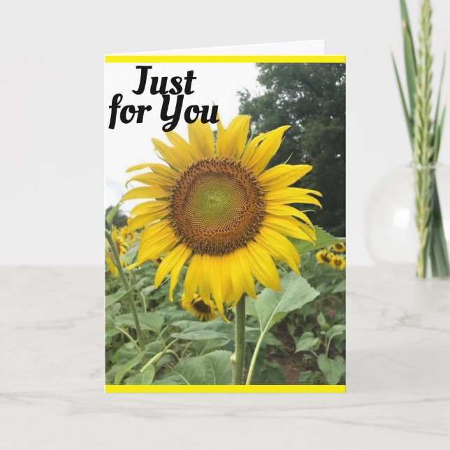 CARTÃO A * ANIVERSÁRIO ESPECIAL* PARA UMA *PESSOA ESPECIA (Frente)