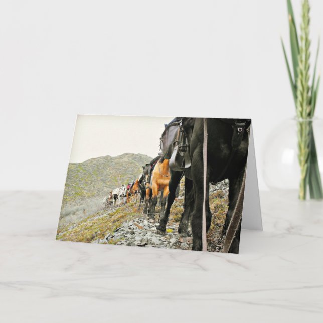 Cartão A beleza de Chisana (Frente)