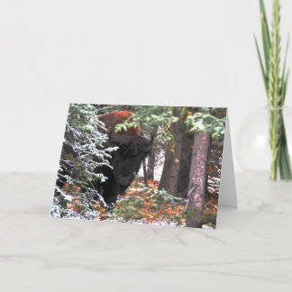 Cartão A beleza de Chisana