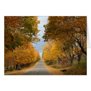 Cartão "A beleza do outono "