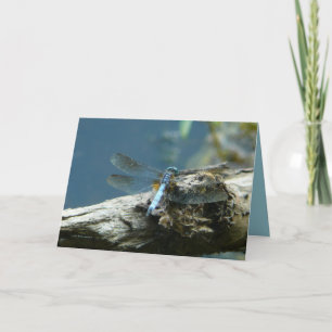 Cartão A beleza permanece