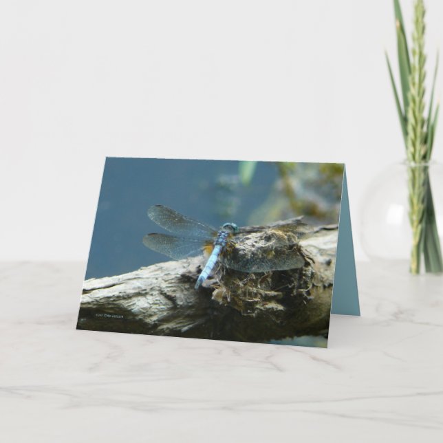 Cartão A beleza permanece (Frente)