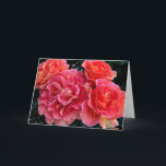 Cartão A Bevy Of Roses<br><div class="desc">Peach and pink roses</div>