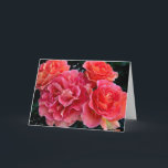 Cartão A Bevy Of Roses<br><div class="desc">Peach and pink roses</div>