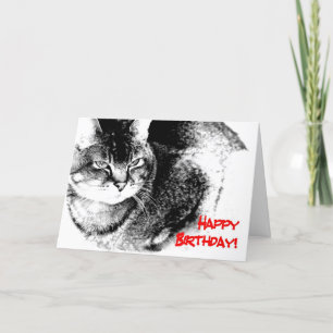 Cartão A Birthday Card - Half-Burmese Cat