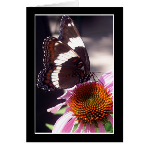 Cartão A Borboleta