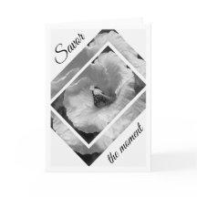 A borboleta preto e branco Savor o momento