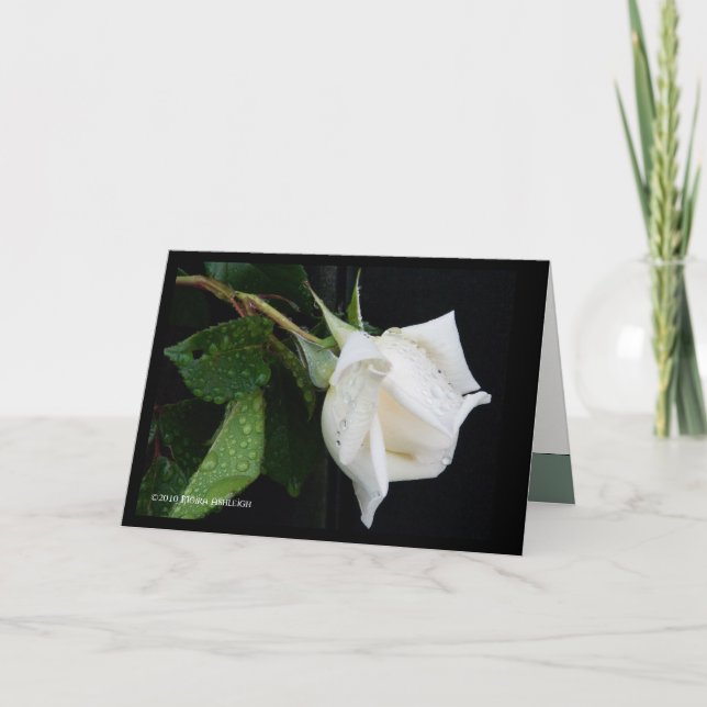 Cartão A Bow to Morning (Frente)