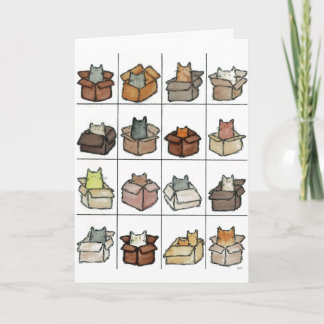Cartão A Box For Every Cat Greeting Card